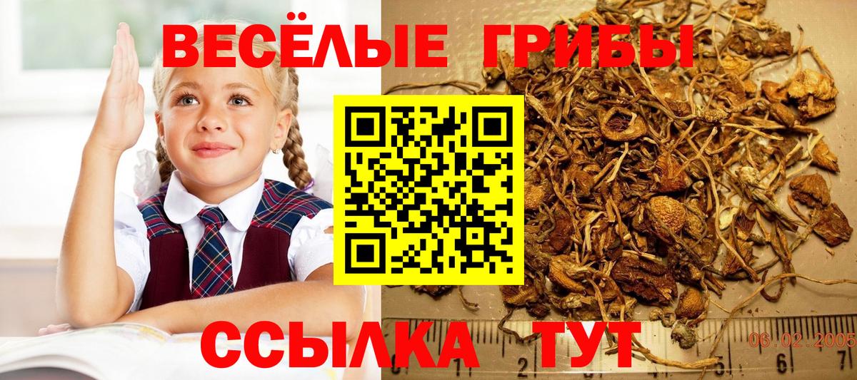 Галлюциногенные грибы прущие грибы  Вход с VPN  Воткинск 