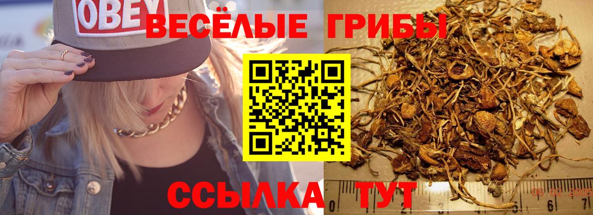 Псилоцибиновые грибы мухоморы Воткинск