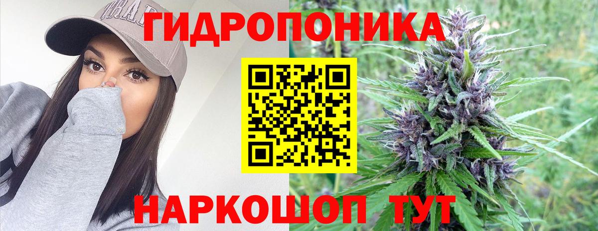 Бошки Шишки семена Воткинск